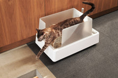 tuft + paw Cove Litter Box