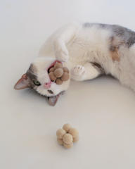 Catenary Pearl Toys