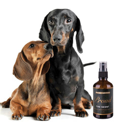 Pride + Groom PROUD Dog & Cat Natural Deodorizing Pet Cologne