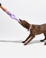 Chew Chain