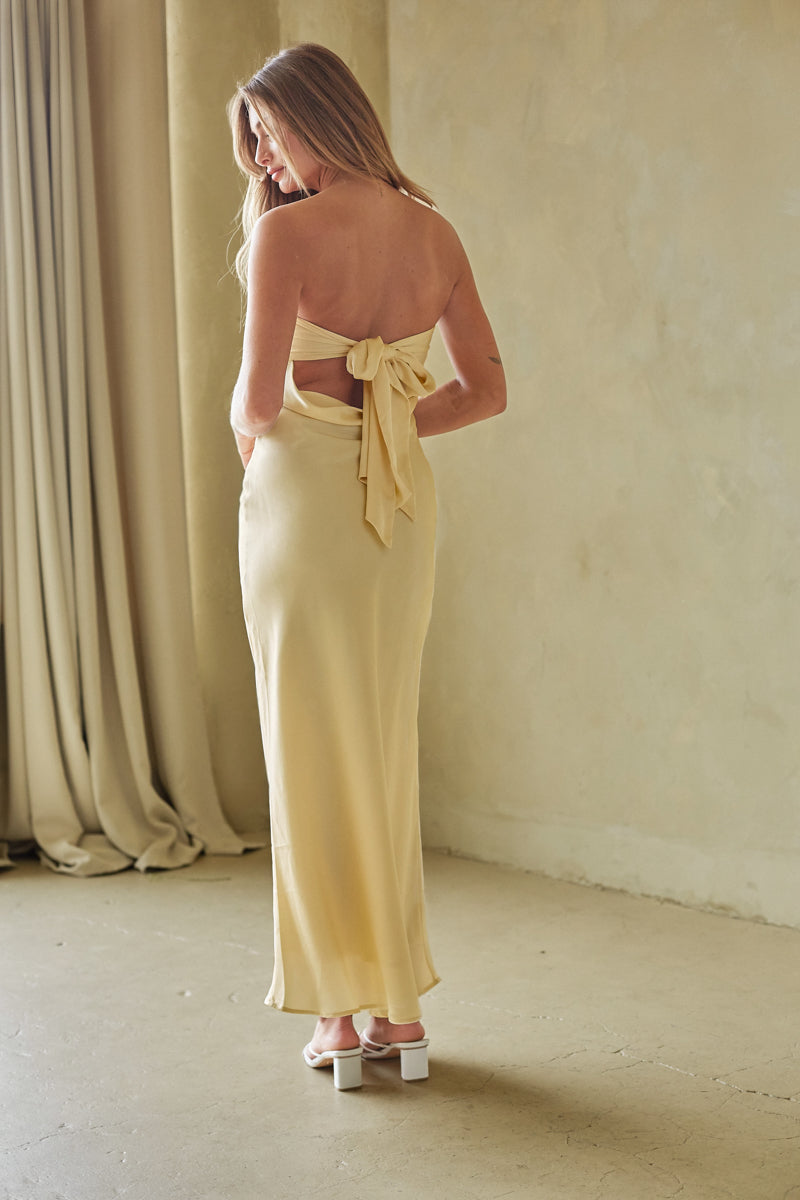 Britt Strapless Tie Back Maxi Dress