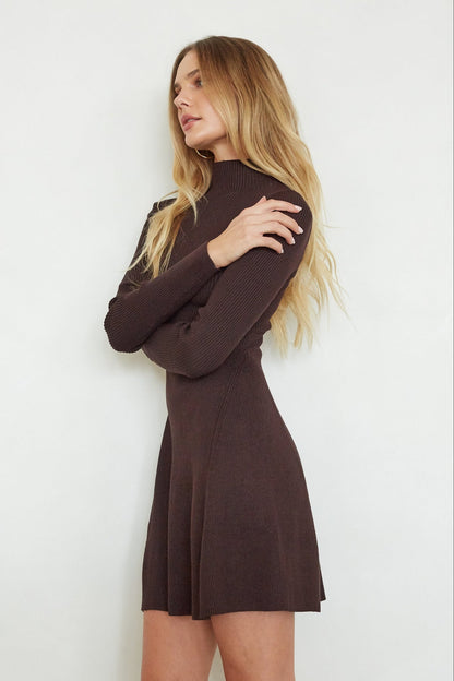 Millie Knit Turtleneck Mini Dress