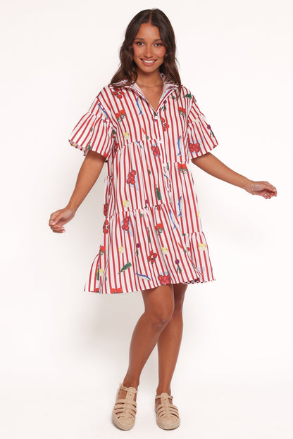 Peachy Mini Dress - Red Picnic Stripe