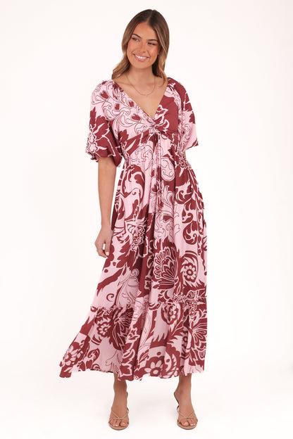 Shanae Maxi Dress - Pink Brown Paisley