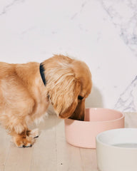 Bowl Personalized