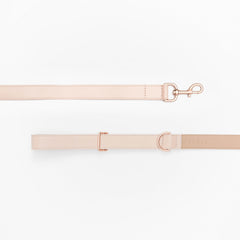 Leather Leash