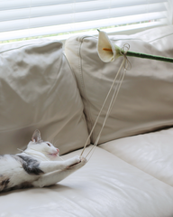 Catenary Flora Wand