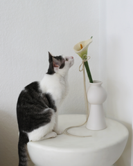 Catenary Flora Wand