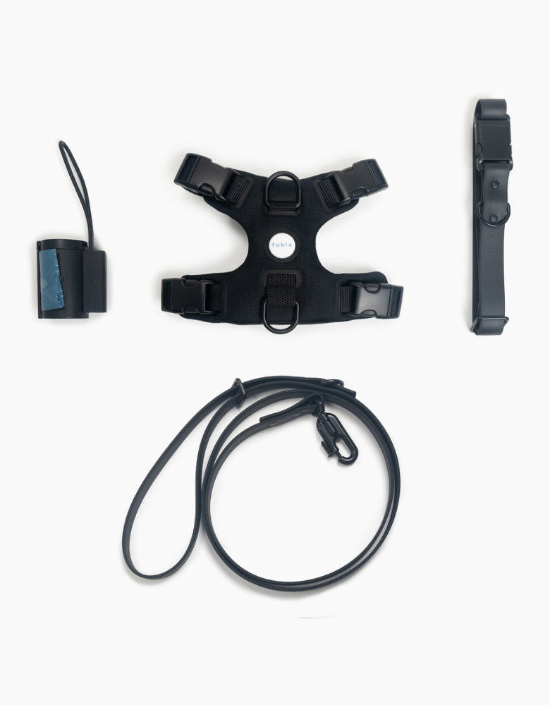Ultimate Walk Set